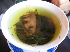 天然嫩叶紋股藍