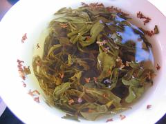珍品桂花王
