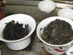 家蔵舊晋［シ耳］王　福建烏龍茶