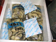取り寄せた牡蠣