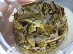 05年生茶
