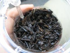 熟茶