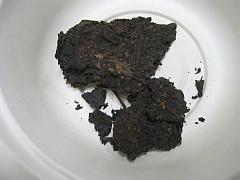 生茶（90）
