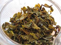 生茶